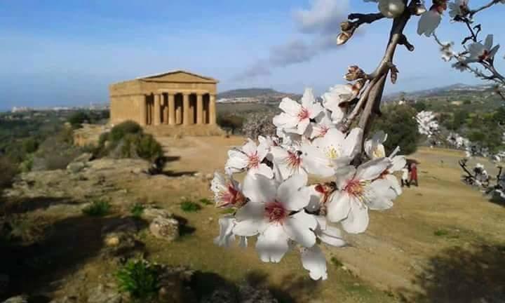 דירות ריאלמונטה Anemone Della Scala Dei Turchi מראה חיצוני תמונה